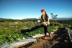 BIB: 
                            <button type="button" onclick="openModal(19111705)" class="btn btn-primary btn-sm float-right btn-popup" data-toggle="modal" data-target=".modal-high-quality">
                        <i class="fas fa-shopping-cart"></i> Add to Cart
                    </button>
                                            <button type="button" onclick="isThisMe(19111705, true)" class="btn btn-success btn-sm float-right btn-popup btn-isme hidden" data-toggle="tooltip" data-placement="bottom" title="นี่คือรูปของคุณใช่ไหม คลิกที่นี่เพื่อเอาเข้าอัลบั้ม">
                        <i class="fas fa-plus"></i> Add to album
                    </button>
                    <button type="button" onclick="isThisMe(19111705, false)" class="btn btn-warning btn-sm float-right btn-popup btn-isnotme hidden">
                        <i class="fas fa-ban"></i> Remove from album
                    </button>